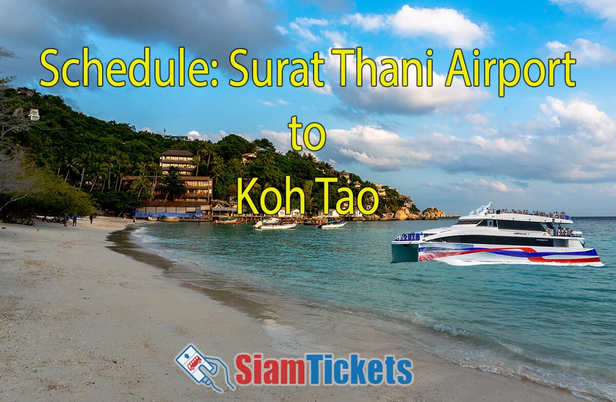 Surat Thani Airport to Koh Tao: 2024 Ferry Schedules & Prices